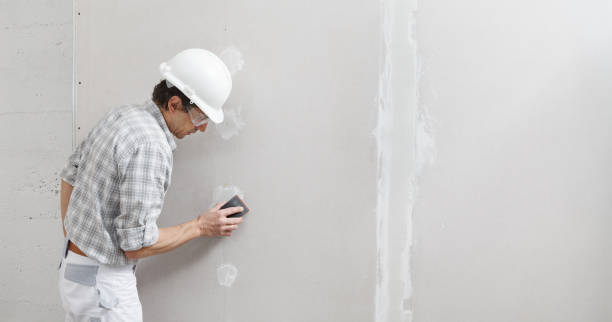 Best Basement Mold Removal  in Raleigh, NC