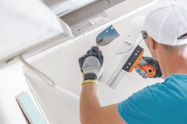 Trusted Raleigh, NC Mold Removal Experts